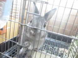 141018n.gif