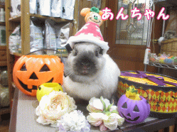 141019b1.gif