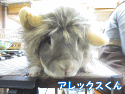 141019f1.gif