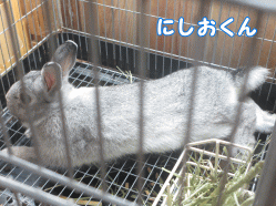 141019h1.gif