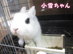 141019i1.gif