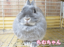 141019j1.gif