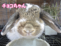 141021a.gif