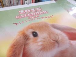 141023h.gif