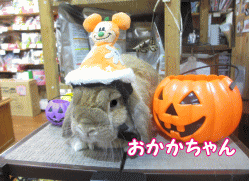 141025a.gif