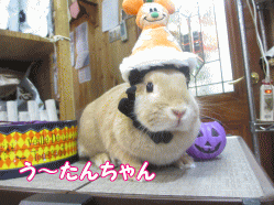 141025g.gif