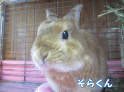 141026e1.gif