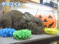 141028a.gif
