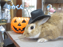141028c.gif