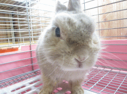 141030n.gif