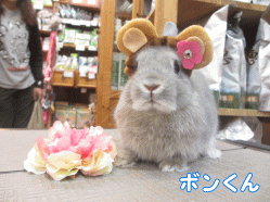 141031a1.gif