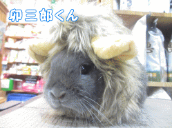 141031b1.gif