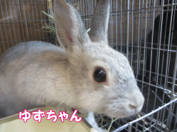 141101e.gif
