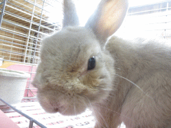 141101h.gif