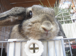 141102i2.gif