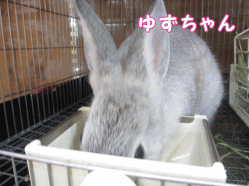 141102j1.gif