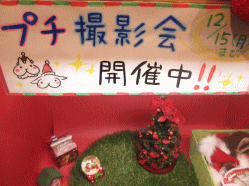 141104f.gif