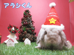141107a1.gif