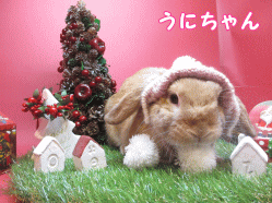 141107c1.gif