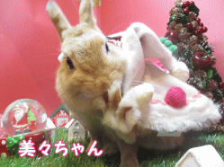 141109f1.gif