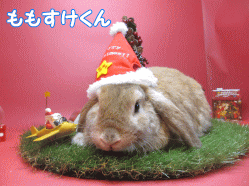 141111a.gif
