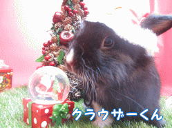 141114b1.gif