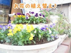 141116c1.gif
