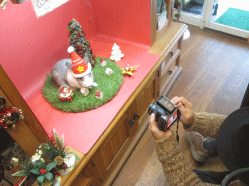 141121a2.gif