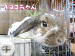 141121d1.gif