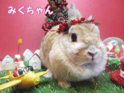 141122a1.gif