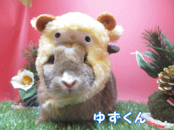 141122e1.gif