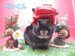 141122g1.gif