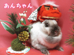 141122h1.gif