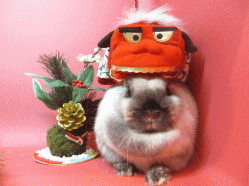 141122h2.gif