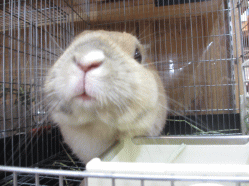 141122i2.gif