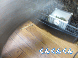 141122k1.gif