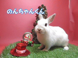 141123e.gif