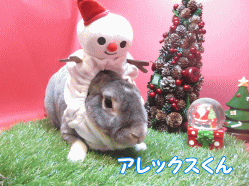 141123r.gif