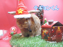 141123t.gif
