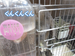 141123z4.gif
