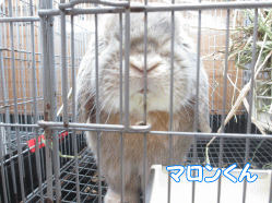 141124z1.gif