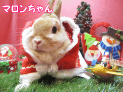 141125a.gif