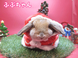 141125c.gif