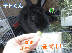 141128b3.gif