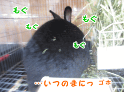 141128b4.gif