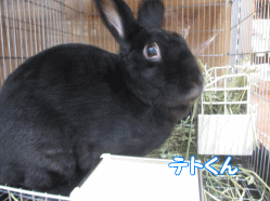 141129i.gif