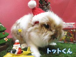 141130g1.gif