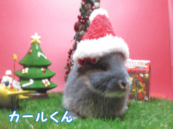 141130j1.gif