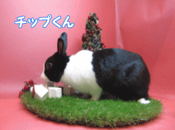 141201a.gif