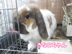 141201e.gif